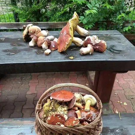 Habitación en casa particular Osrodek Wypoczynkowy Sosenka