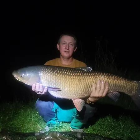 Osrodek Wypoczynkowy Sosenka *