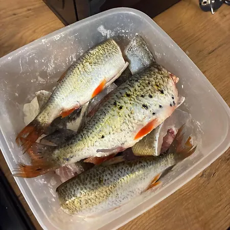 Osrodek Wypoczynkowy Sosenka Zalom (Czlopa)