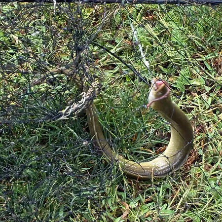 Osrodek Wypoczynkowy Sosenka *