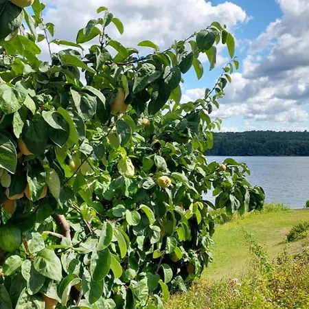 Osrodek Wypoczynkowy Sosenka * Zalom (Czlopa)